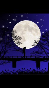 Canva Design Tips for Beginners