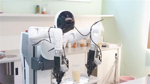 Hundreds of humanoid robots are being trained for use in household and industrial production in China