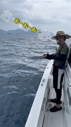 鬼アジゲット #舞鶴 #釣り #アジ #angler #fishing