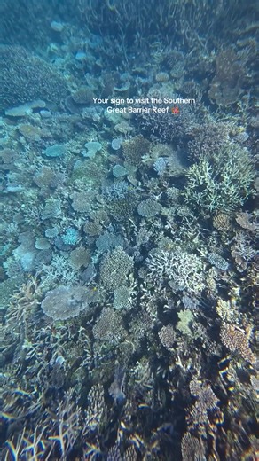 Explore the Southern Great Barrier Reef: A Must-See Destination