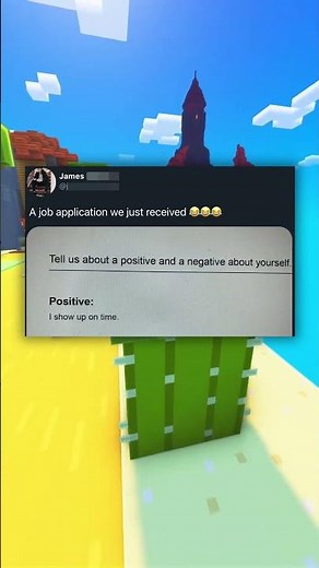 The ULTIMATE Job Application! 🤣