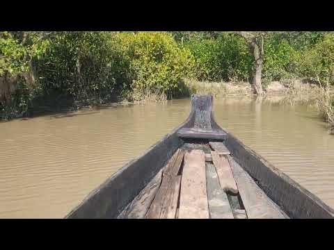 Ratargul Swamp Forest-রাতারগুল জলাবন-Gowain River-সিলেট-9