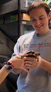 from the UGA turtle pond to the Georgia Aquarium … @uga.luke makes turtle friends wherever he goes 🐢 | University of Georgia