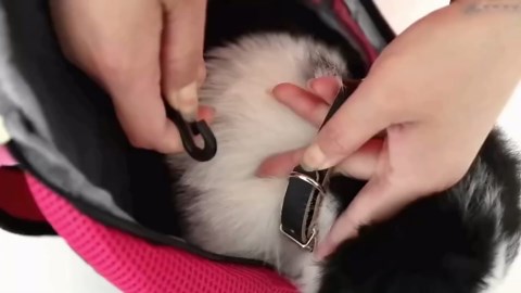 1200W Motor Suction Turbine Assembly 120V Compatible with Festool CTL26E CTL36E Mirka 1242 AC Vacuum, Replacement for 467.3.414