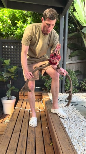 How to euro mount