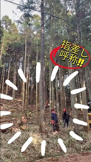 【修行中】 奈良県 林業 安全 指差し呼称 #forest