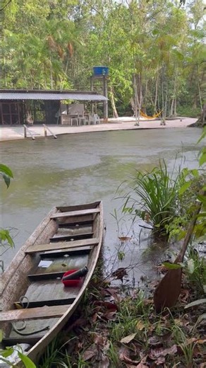 Beautiful Place in the Amazon Forest.