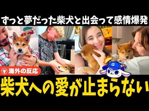 "What? You're kidding me...!" Foreigners who received a surprise Shiba Inu dog were so happy they...