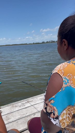 278K views · 18K reactions | Olha quanta maravilha meus amores | Receitas da Roça | Facebook