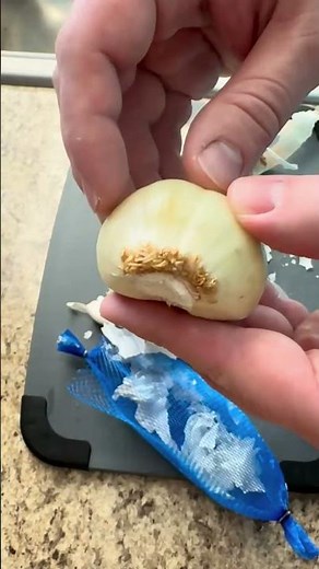GROW MASSIVE ELEPHANT GARLIC from STORE-BOUGHT Cloves! 🧄🔥 (Easy Step-by-Step Guide!)
