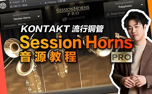 【Session Horns Pro铜管】康泰克里最好的流行铜管【汪叔聊音源】