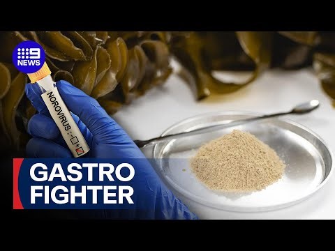 The surprising food that could help fight a common stomach bug | 9 News Australia