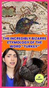 Dr. Harini Bhat (PharmD) | Science Storyteller on Instagram: "The origin of the word “turkey” is really fun & bizarre. It’s the result of a super long game of global telephone. Turkey the country, despite being named Turkey, has no native turkeys. On top of that, the Turks don’t call a turkey, a turkey…they call it a “Hindi”, meaning Indian because they believed the bird to come from India. They weren’t alone in their thinking. France called the bird “poulet d’inde” or chicken from India. In Pol