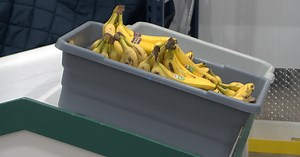 HRDC in Bozeman prepares for USDA food program cuts, launches food drive for fresh produce