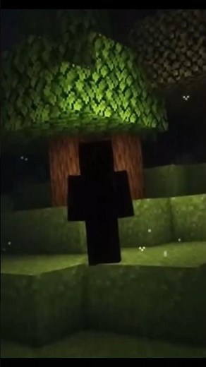 The REAL Truth About Null in Minecraft (and the Forgotten World Legend)