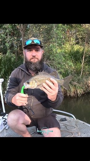Up the Creek #bass #fishing #australia | AussieDoss