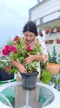 2 Easy Step for Healthy and Pest-Free Plants 🌿 #gardening #organic #plants