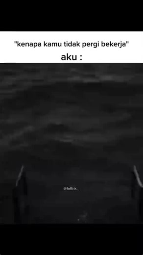 Funny US Video Compilation