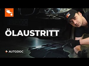 Oil leaks from your car: These 5 causes you should know | Tips from AUTODOC