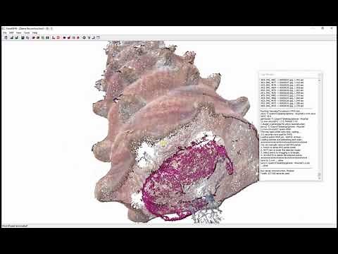 (Tutorial) VisualSFM - Vom Foto zur Punktwolke
