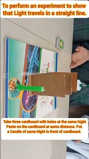 Experiment to show that light travels in a straight line.#light #scienceexperiment #science #scifi