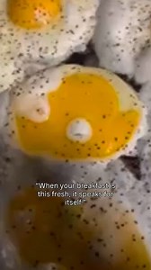 11 reactions · 4 comments | Even the eggs are spreading the word: 讀 ✨ Shop local at the Farmers Market! Fresh flavors, smiling faces, and the best way to start your Saturday. Plus we have ALL the eggs!! Arrowhead Farmers Market ️Summer hours  Saturday August 30, 2025  8am -11am  Arrowhead Towne Center (south entrance) 77th ave and Bell rd 7700 w Arrowhead Towne Center Dr, Glendale, AZ | Get Local AZ Farmers Markets / Momma's Organic Market | Facebook