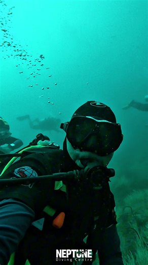 Neptune Diving Center على TikTok