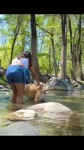 HURRICANE, SPOILED SOLO CAMPING STRONG WIND BLOWS AWAY A CAMPING TENT