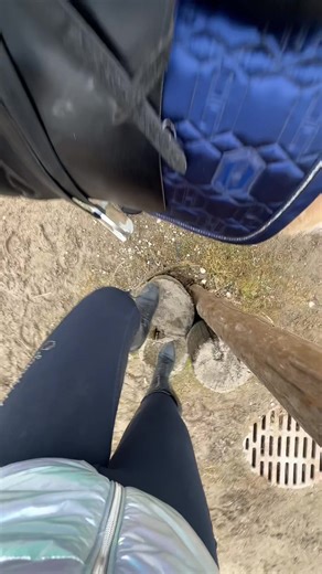 Understanding Dressage for Equestrian Success