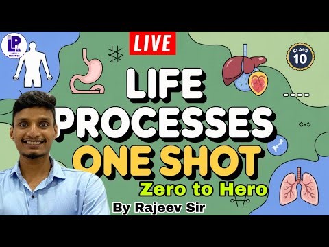 LIFE PROCESSES I Class 10 Science I ONE SHOT I Best Explanation I By Rajeev Sir