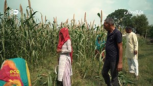 Haryana is one of the most water-stressed states in India. But it has nearly 20,000 ponds, which could provide a solution. A nonprofit organization is working with authorities to revive these water bodies to increase groundwater levels. Every week, Eco India brings you stories that inspire you to build a cleaner, greener and better tomorrow. https://scroll.in/topic/56120/eco-india | Scroll | Facebook
