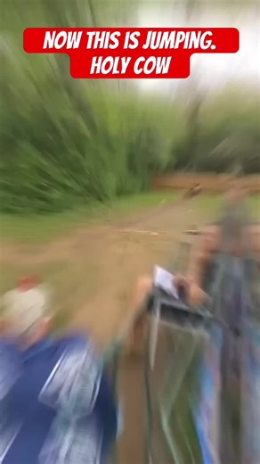 Explore the Magic of AI Bots in Tech Trends