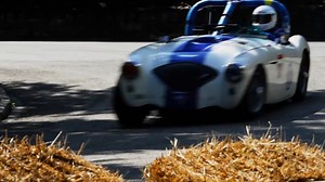 Street racing through the park, car shows throughout the grounds, and people experiencing it from every angle — there’s really nothing else like it. Whether you’re on the track or on the hillside at the car shows, the atmosphere is hard to beat. #PVGP #PittsburghVintageGrandPrix #SchenleyPark #VintageRacing #CarCulture #RaceWeekend | Pittsburgh Vintage Grand Prix