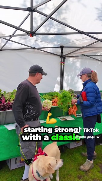 Top Must-Visit Spots in Seattle and Surrounding Areas