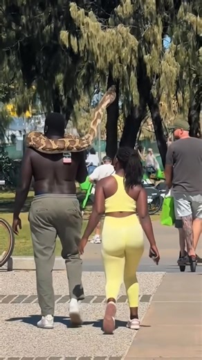 The girl was frightened after seeing the python#shorts #funny #anaconda #shortvideo