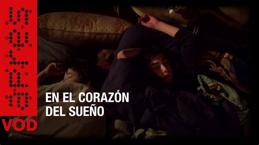 En el corazón del sueño