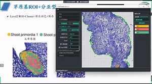 空间转录组可视化软件——BSTViewer
