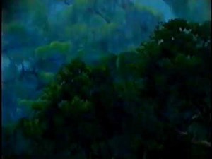 Disney's Tarzan y Jane 2002 VHS intro