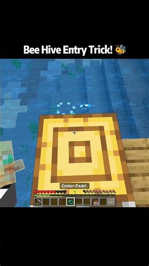 Minecraft I Entered the Bee Hive Using a Secret Trick! 🐝