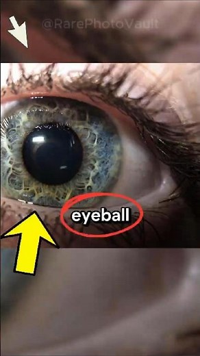 Rare Photos Captured at Moments When the World Looked Shockingly Perfect 😱📸