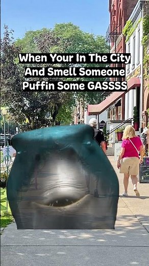 Finding Nemo Shark #meme #lol