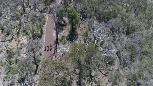 🐜 Mosquitoes: Small Pests, Big Dangers! Ever wonder how mosquitoes multiply so fast? 🤔 Their lifecycle is quick, but you can stop them in their tracks! 🎥 Watch this video to learn how mosquitoes breed and what you can do to protect your home: ✅ Empty water from containers weekly. ✅ Keep gutters clean and free of debris. ✅ Refresh birdbaths and pet bowls regularly. 💡 Together, we can Fight the Bite and keep our community safe! Learn more at https://bit.ly/3OQOmGB. #FightTheBite | City of Kwin
