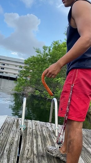 65K views · 21K reactions | Where is the rod and reel when you need it  • VC: rippinglipsfishing | Beyond Braid | Facebook