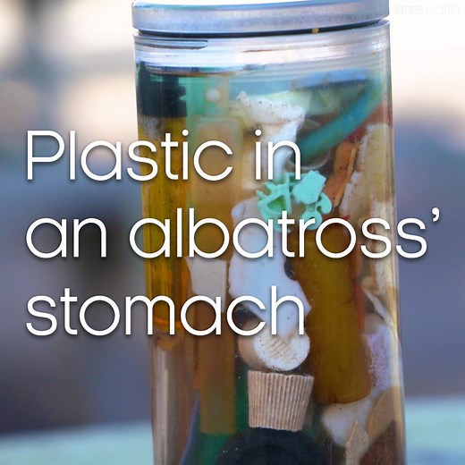 1.2M views · 8.5K reactions | What do a lighter, a bottle cap and a child's toy all have in common? #OurBluePlanet | BBC Earth | Facebook