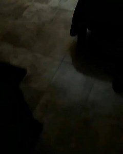 113K views · 3.6K reactions | � Memes X Mayor � on Reels | Facebook