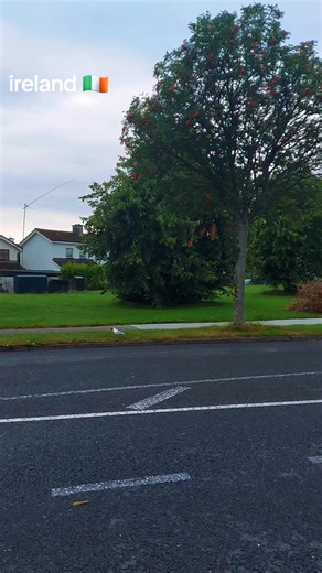 Discover the Beauty of Dublin, Ireland 🇮🇪