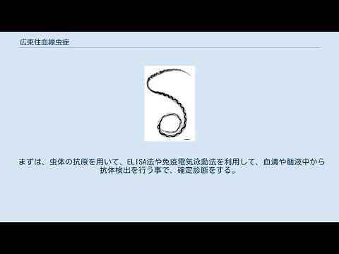 広東住血線虫症