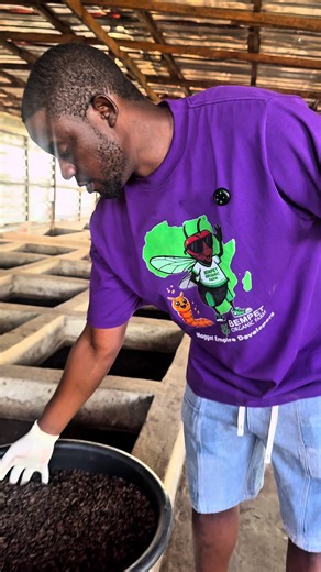 Once you understand the production process, you'll be producing daily