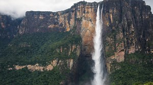 Un géant caché de la jungle, loin des routes