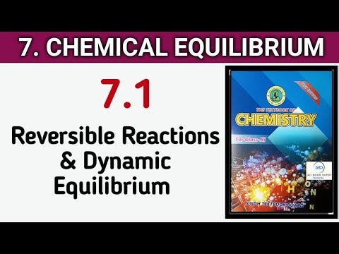 7.1 Reversible Reactions and Dynamic Equilibrium || Class 11 chemistry